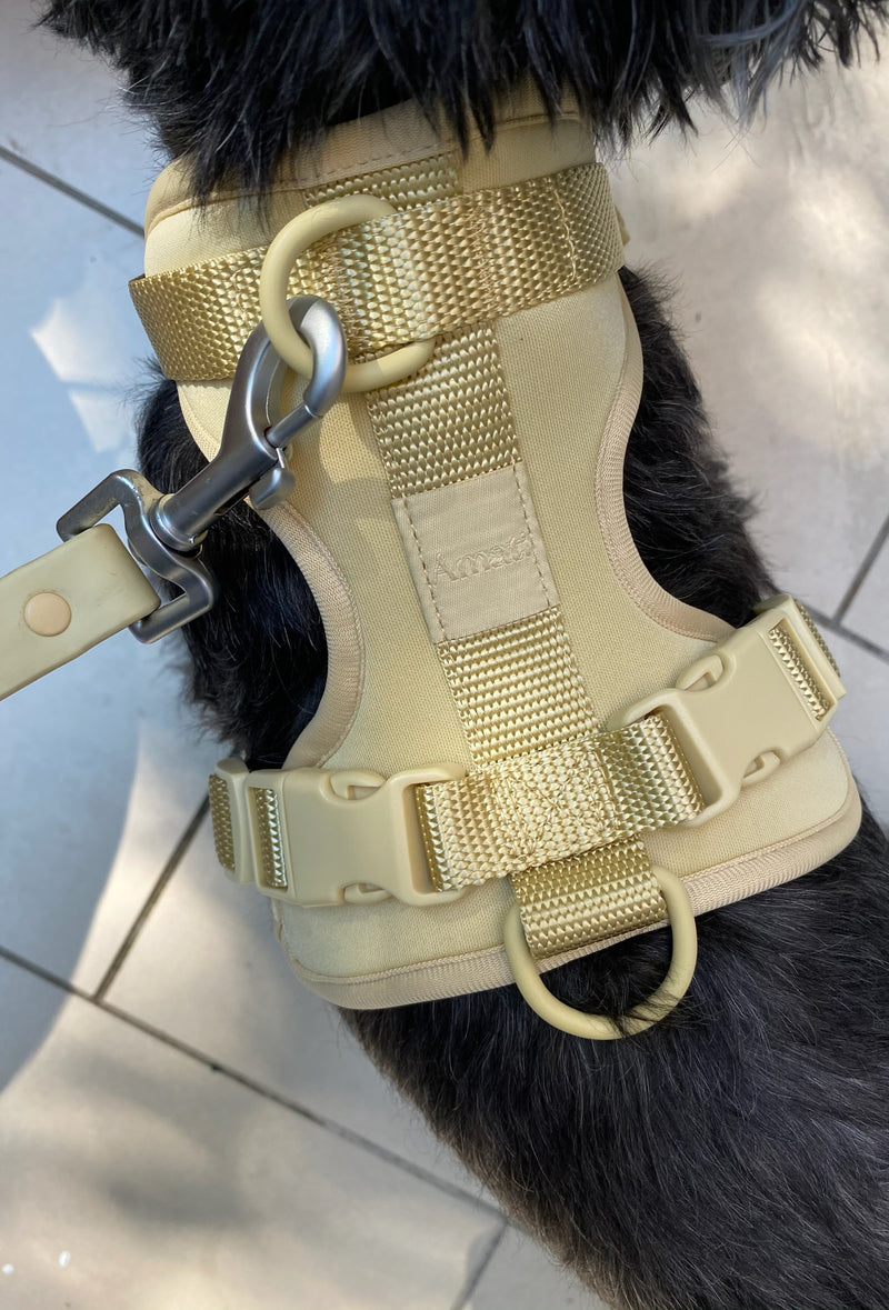 Milano No Pull Harness