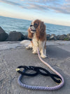 Oslo Rope Leash