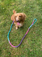 Holi Rope Leash